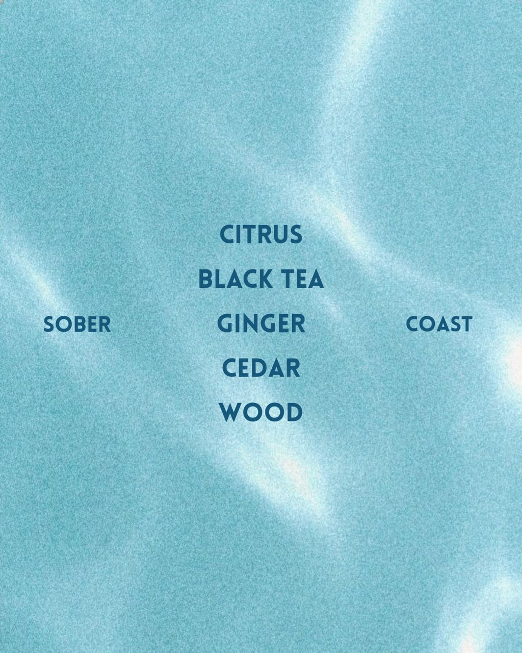 SOBER Coast Scent System